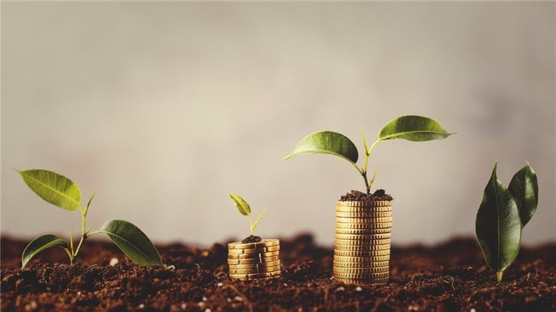 Illustration for profitable MAP enforcement and ecommerce brand protection