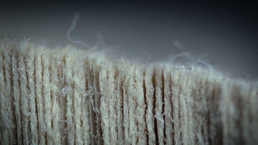 Illustration for quarterly MAP program audit and ecommerce brand protection